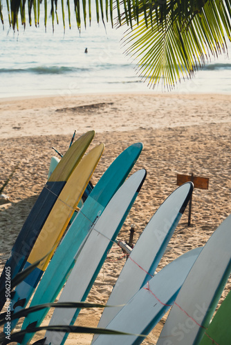 Surfboards setting under coconut palms beach seaside. Leisure activities surfers on ocean relax fun holiday vacation. United States © loveyousomuch