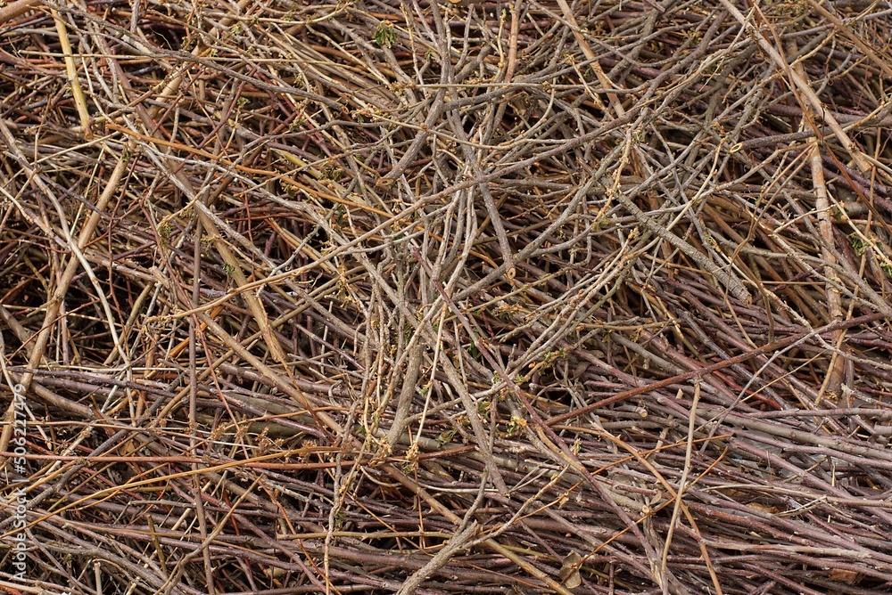 brown gray natural texture of dry branches in a heap in nature brown gray natural texture of dry branches in a heap in nature
