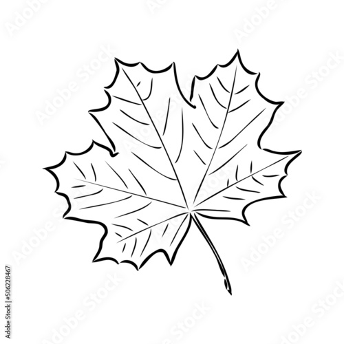 fall leaf clipart, black and white leaf drawing, vector clipart