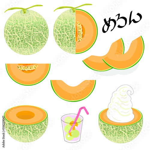 甘くて美味しい夏の赤メロン
