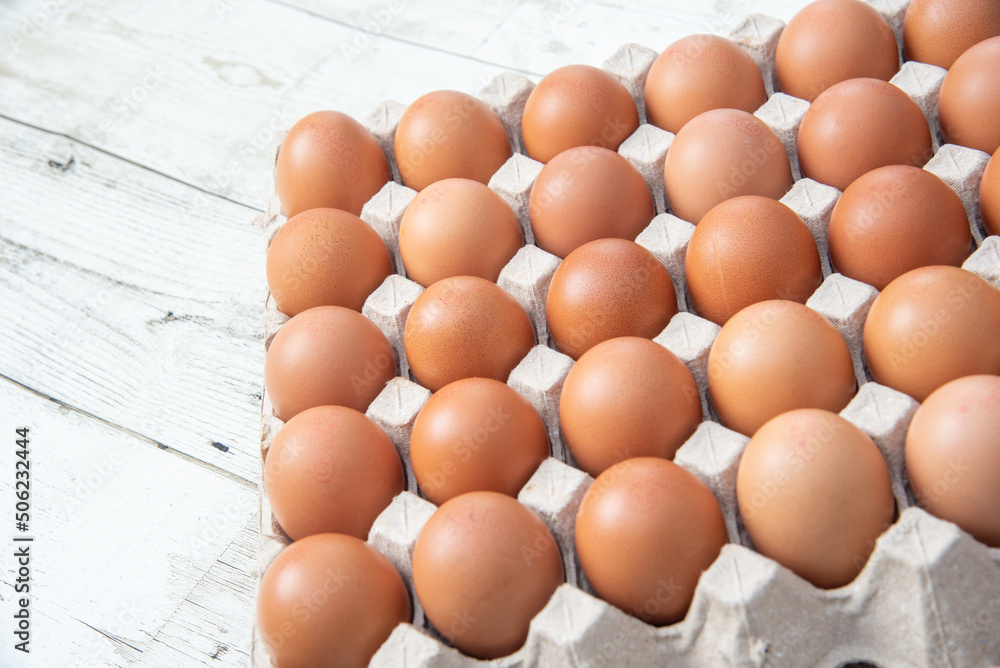 Chicken eggs in the system, closed farm, transport system, organic, organic