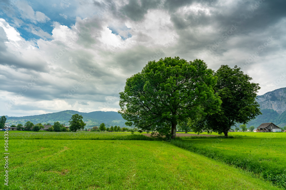 im Frühling spriessende und blühende Bäume am sonnigen Tag mit aufziehendem Gewitter. grüne Wiesen, Berge und graue Wolken machen eine dramatische Stimmung im Rheintal, Dornbirn, Vorarlberg, Austria im Frühling spriessende und blühende Bäume am sonnigen Tag mit aufziehendem Gewitter. grüne Wiesen, Berge und graue Wolken machen eine dramatische Stimmung im Rheintal, Dornbirn, Vorarlberg, Austria