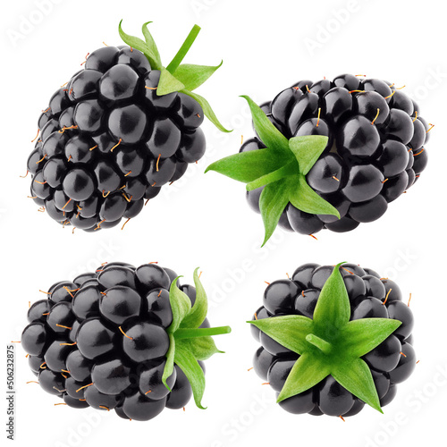 blackberry isolated on white background, clipping path, full depth of field