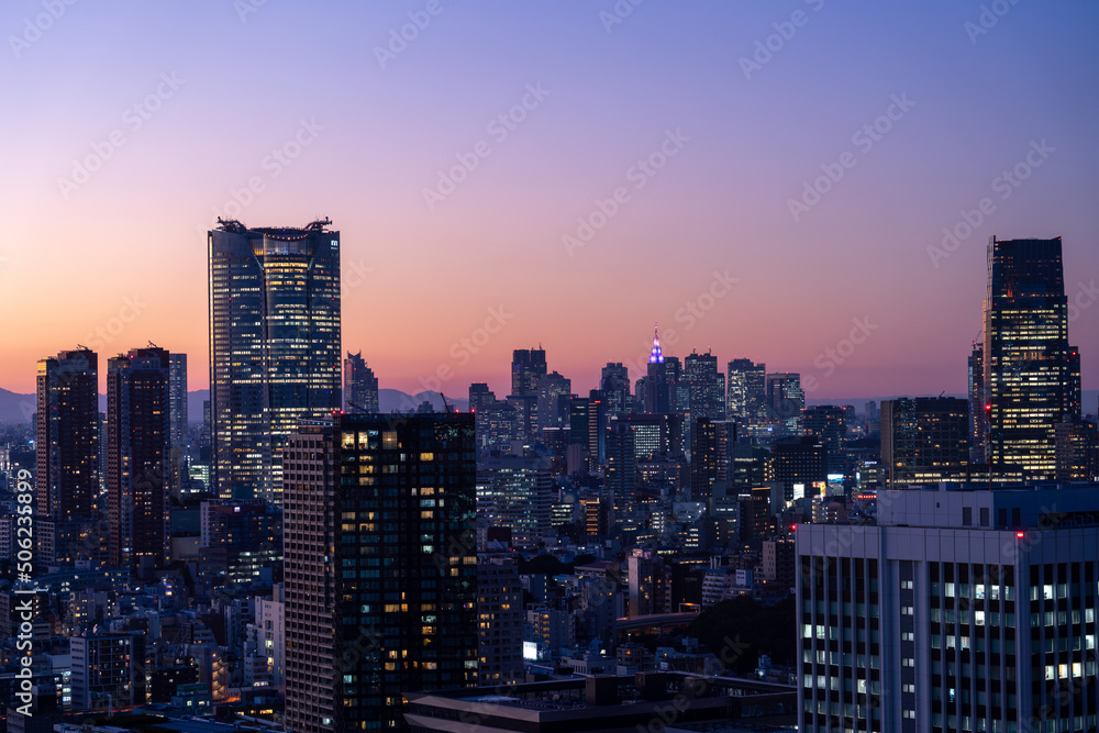 Tokyo Shinjyuku and Roppongi area panoramic view at magic hour time.	
