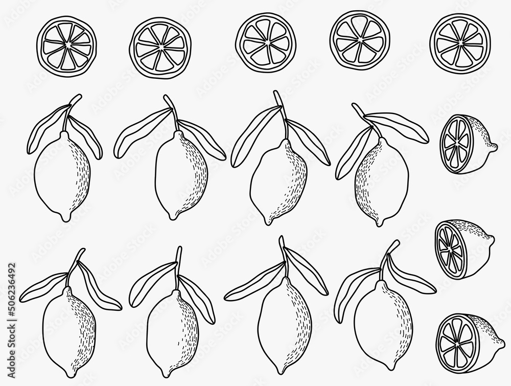 Fresh lemons print. Hand drawn line lemon illustration. Minimalism lemon.
Fresh lemons print. Hand drawn line lemon illustration. Minimalism lemon.