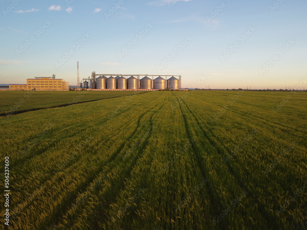 Grain elevator. Metal grain elevator in agricultural zone. Agriculture storage for harvest. Grain silos on green nature background. Exterior of agricultural factory. Nobody.