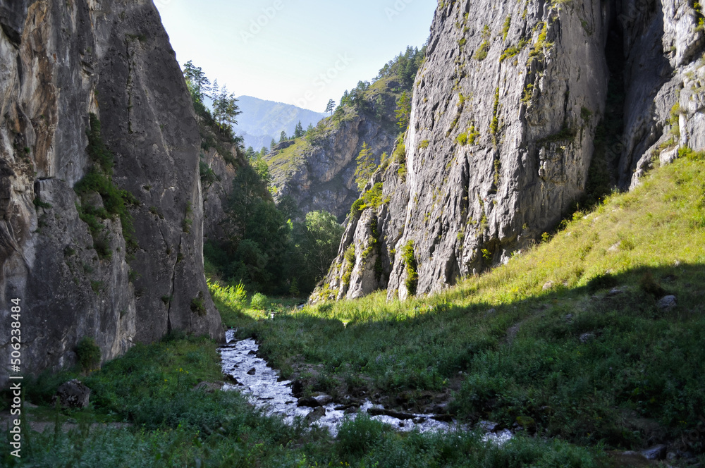 A narrow and long mountain river flowing among the majestic Altai mountains.