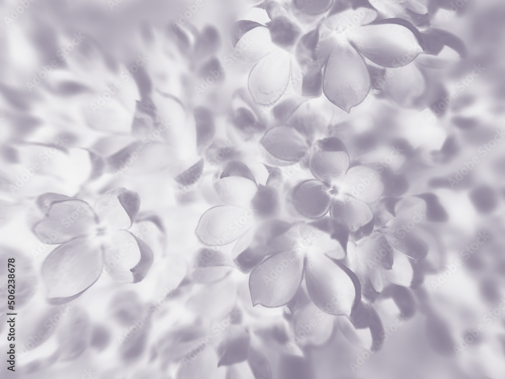 Soft focus pastel flower background featuring abstract Soft focus pastel flower background featuring abstract