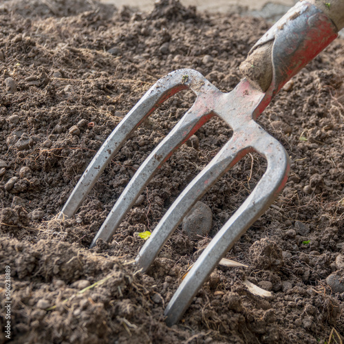 garden work. digging the ground © Iryna