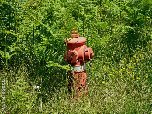 Fire pump hidden by vegetation in a natural park