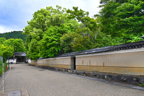 5月に歩く京都市嵯峨の清凉寺南の道が美しい photo