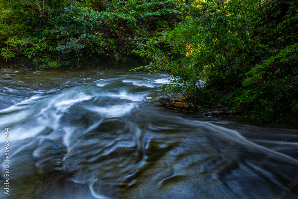 Obraz premium 渓谷の浅い川の流れ