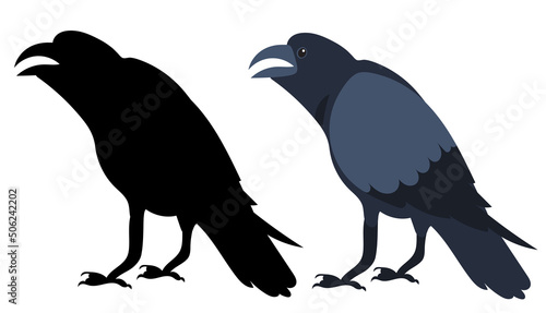 bird, raven flat design, isolated