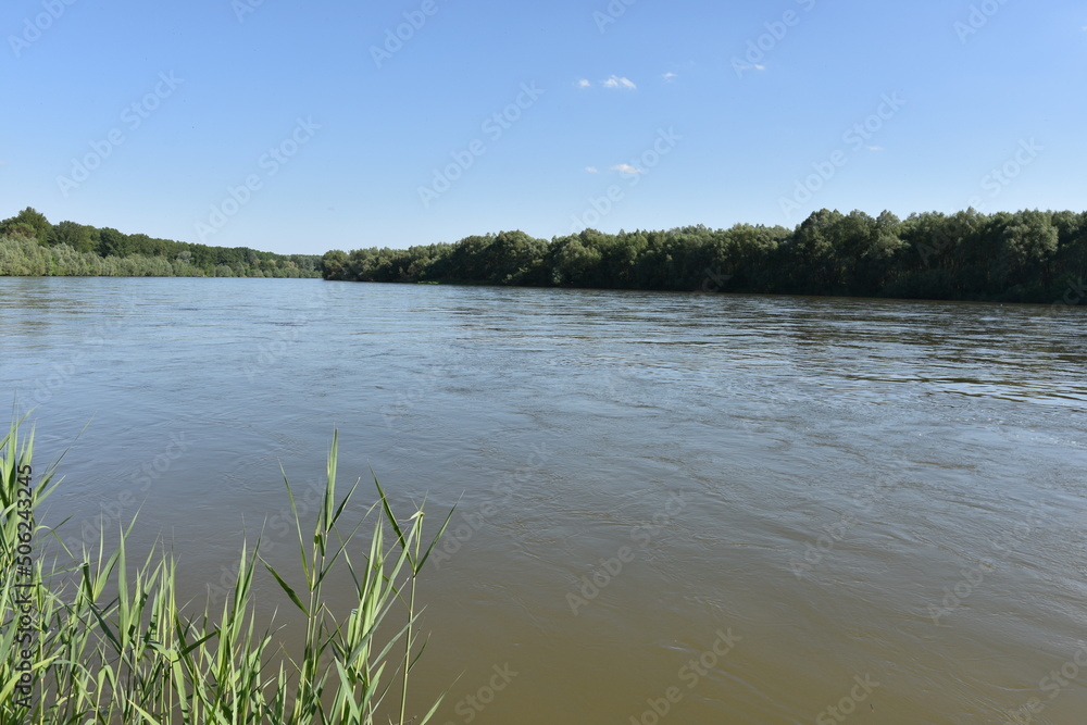 Fototapeta premium Danube River, on the Slovak-Hungarian border,