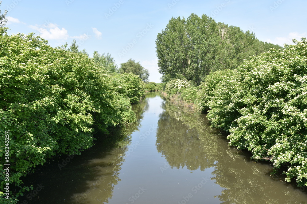 Danube River, on the Slovak-Hungarian border, Danube River, on the Slovak-Hungarian border,