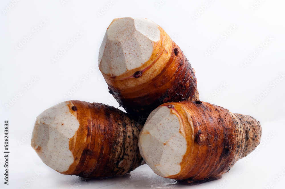 asia, human, important, staple food, taro asia, human, important, staple food, taro