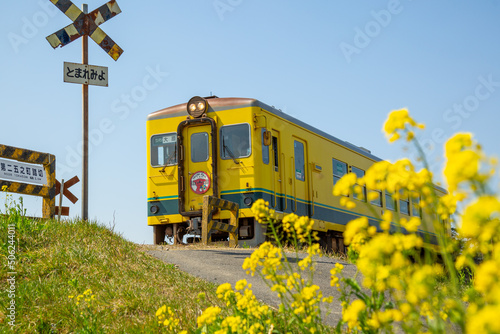 春のいすみ鉄道の踏切