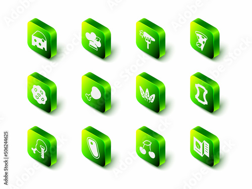 Set Vegan food diet, Carrot, pizza slice, Leather, Vegetarian menu, Leaf, Fresh berries and Steak meat icon. Vector