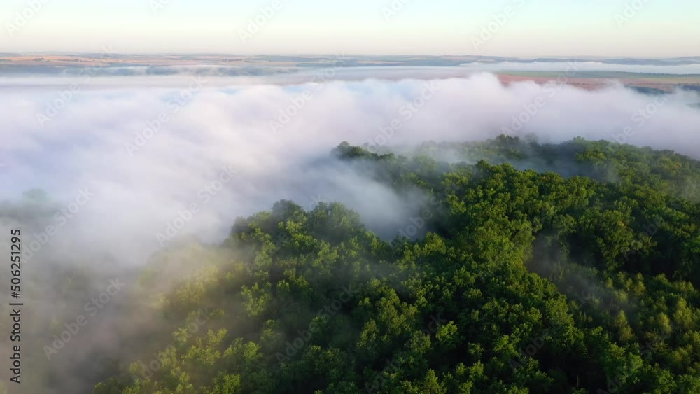 Thick fog moves between hills and forests. Filmed in UHD 4k video. Thick fog moves between hills and forests. Filmed in UHD 4k video.