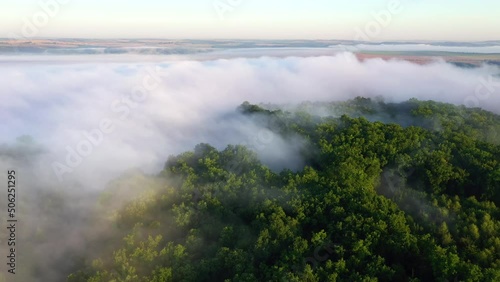 Wallpaper Mural Thick fog moves between hills and forests. Filmed in UHD 4k video. Torontodigital.ca