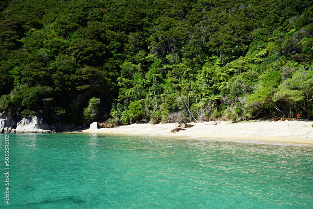 Beach and trees on the shoreline of Abel Tasman national park, New Zealand Beach and trees on the shoreline of Abel Tasman national park, New Zealand