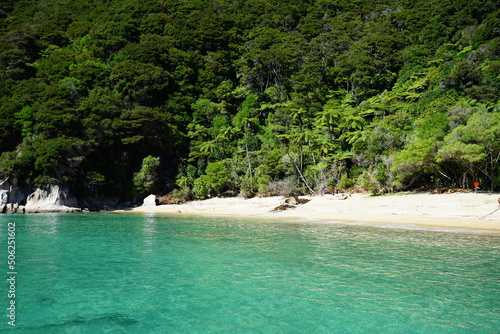 Beach and trees on the shoreline of Abel Tasman national park, New Zealand