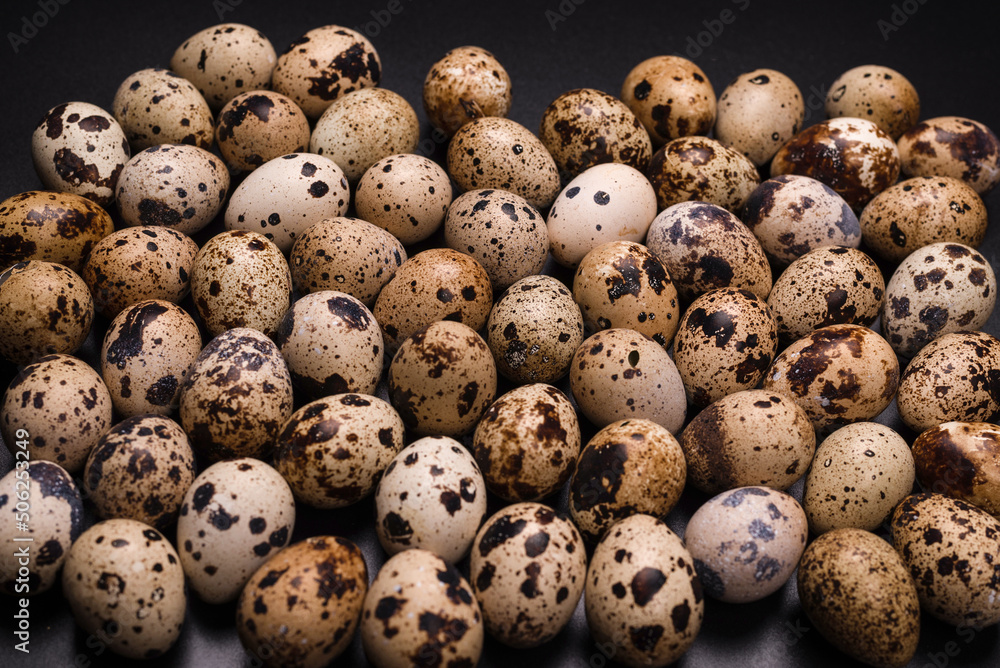 Group of quail eggs as a background. Raw eggs.