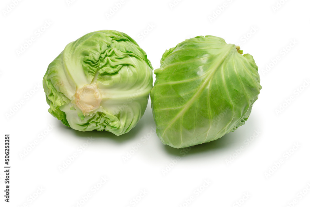 Fototapeta premium Cabbage isolated on white background.