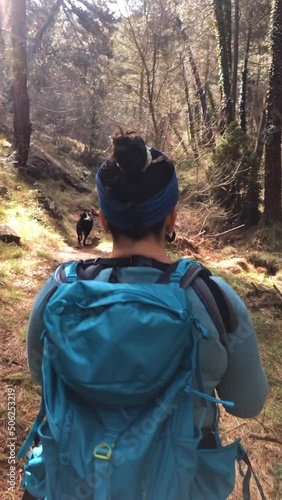 Wallpaper Mural Unrecognizable Woman hiking through the forest. Horizontal view with gymbal Torontodigital.ca