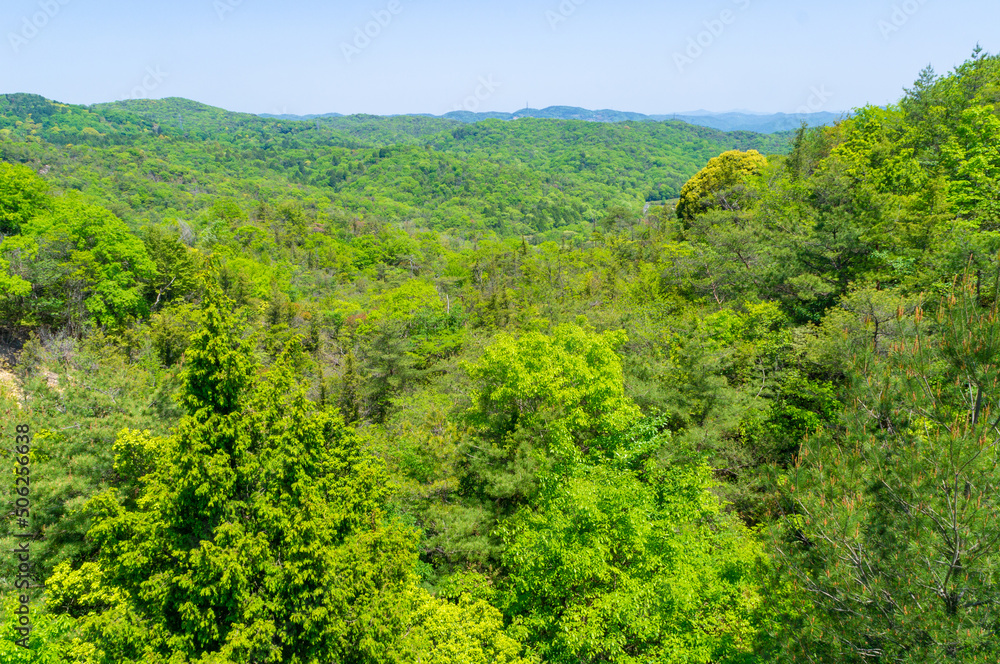 鬼ノ山の風景、日本、岡山、5月撮影