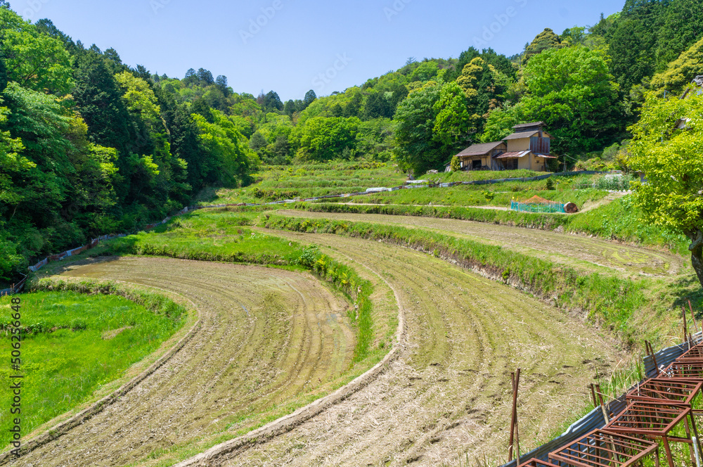 鬼ノ山の棚田、5月撮影
