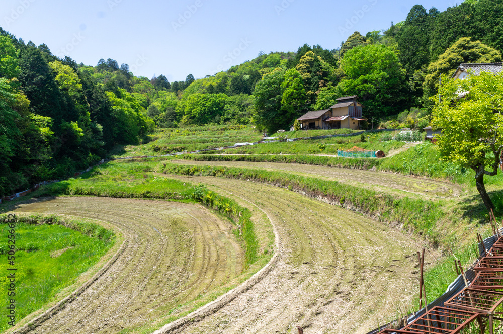 鬼ノ山の棚田、5月撮影