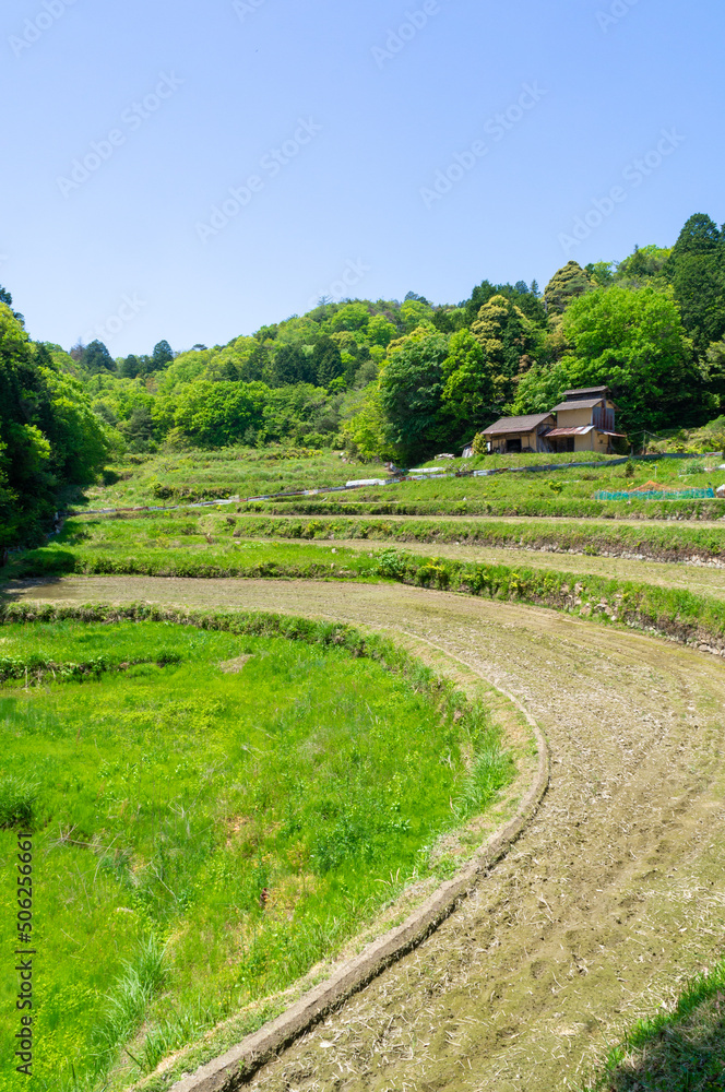鬼ノ山の棚田、5月撮影