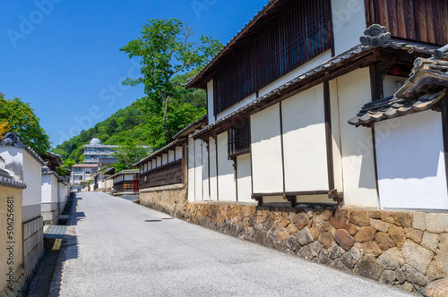 Obraz na płótnie 備中松山城下町の武家屋敷、5月撮影 w salonie