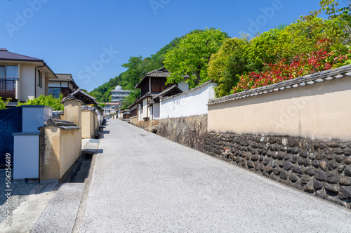 Obraz na płótnie 備中松山城下町の武家屋敷、5月撮影 w salonie