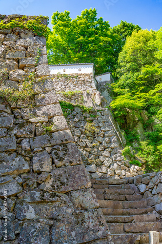 Obraz na płótnie 備中松山城、日本、岡山、5月撮影 w salonie