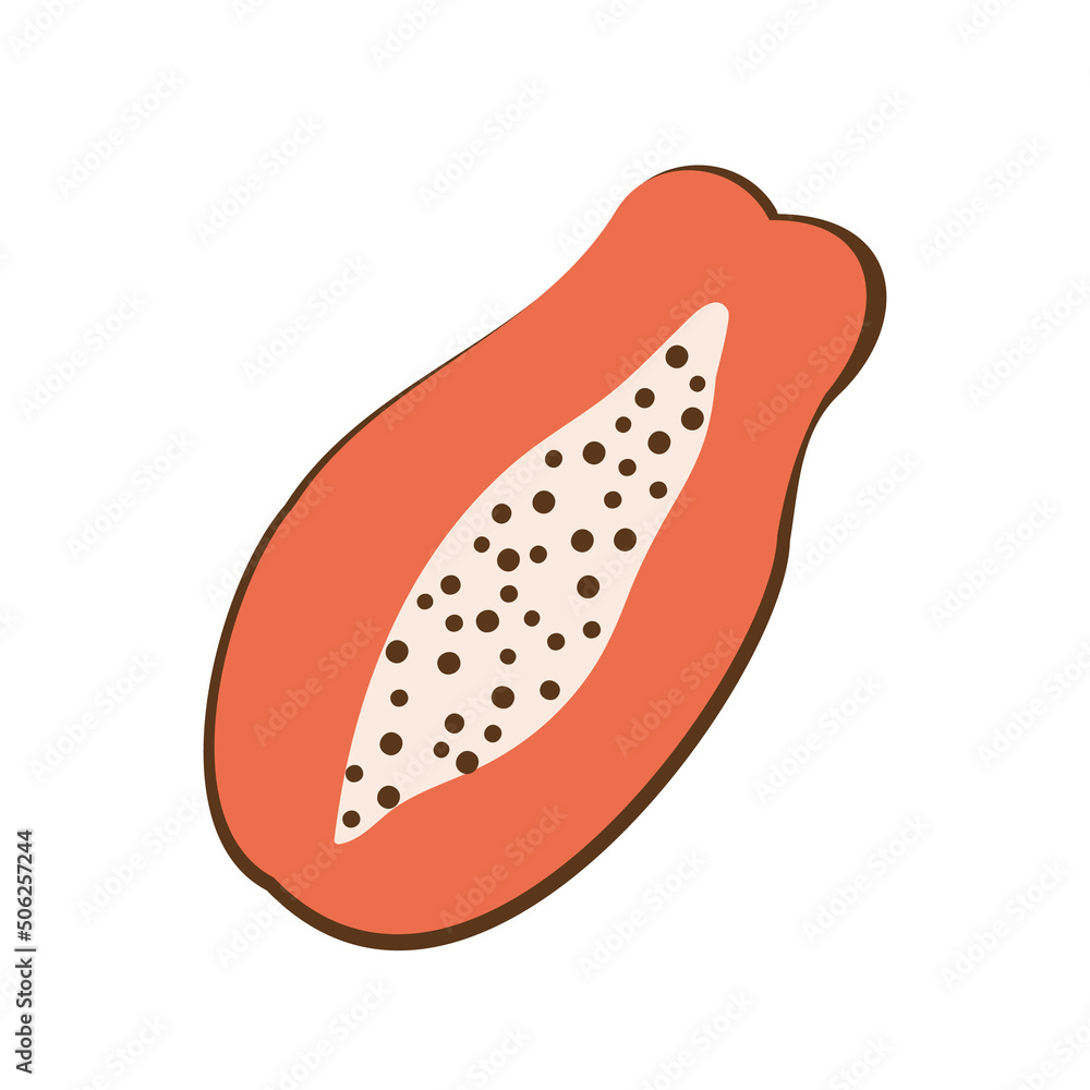 Papaya. Tropical fruit with edible seeds. Vegetarian organic food. Vector illustration in cartoon style. Isolated white background. Papaya. Tropical fruit with edible seeds. Vegetarian organic food. Vector illustration in cartoon style. Isolated white background.