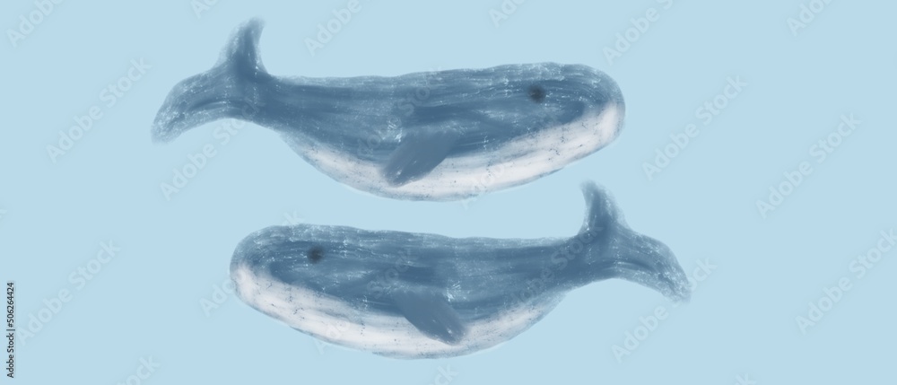 Cute beautiful whales. Easy illustration with whales. Cute background and template with whales Cute beautiful whales. Easy illustration with whales. Cute background and template with whales