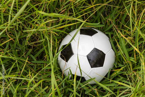 Soccer Ball lost in high grass