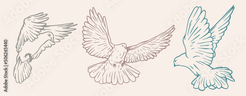 Three white doves on white background