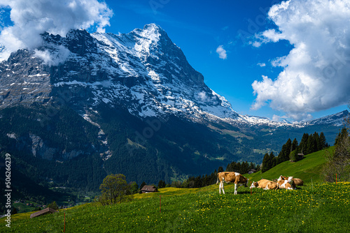 The Eiger mountain