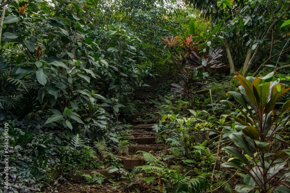 Obraz premium Botanical Gardens