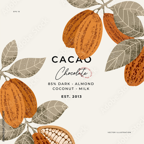 Cocoa bean botanical textured illustration. Vintage style chocolate design template. Chocolate cacao bean. Vector illustration