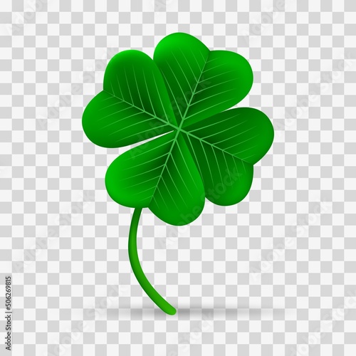 Lucky clover flower on transparent
