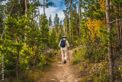 Senior man hiking in Colorado forest in autumn; pines trees on both sides