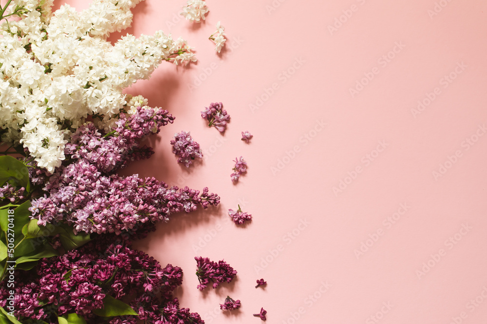 Spring Lilac flowers on pink background decorative border copy space flat lay Spring Lilac flowers on pink background decorative border copy space flat lay