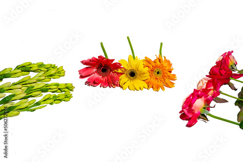 Gerbera, rajanigandha and rose flower photo