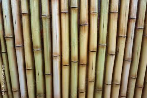 Beige braune Bambusfl  che 