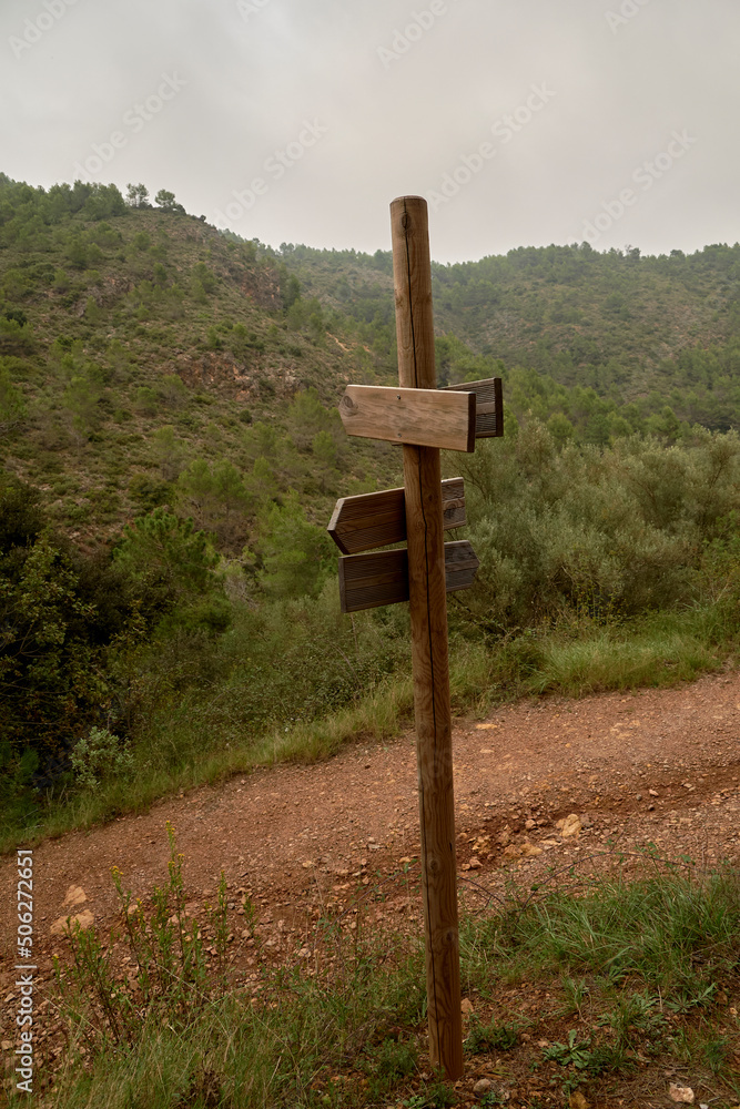 Wooden post with signposts in the forest Wooden post with signposts in the forest