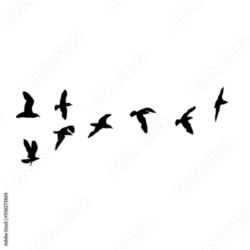 Set of seagulls birds, nautical sailor tattoo sketch. Black stroke of flying sea gull silhouettes on white background. Marine set. Drawings of different shapes of water birds in the flock. Vector. © desertsands